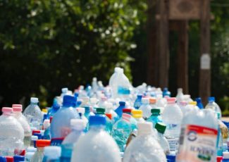 Kaip išmokti rūšiuoti: abėcėlė Kaip išmokti rūšiuoti: abėcėlė
