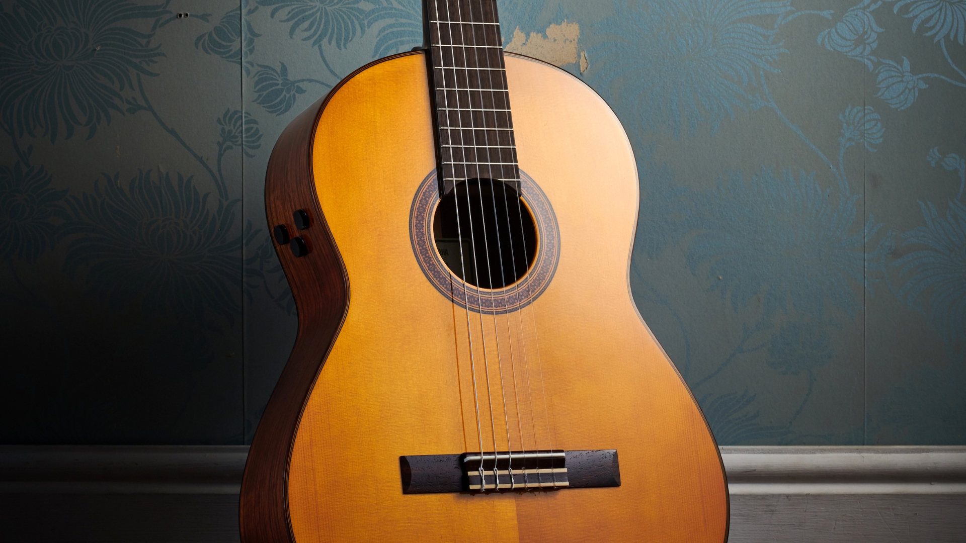 Gitaros internetu: kaip skaitmeninė rinka pakeitė muzikantų pasirinkimus ir mokymosi pradžią